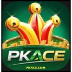 pkace game