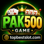 PAK500 Game
